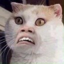 สมาชิกหมายเลข 3208712