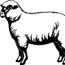 สมาชิกหมายเลข 1564253