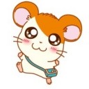 สมาชิกหมายเลข 2385308