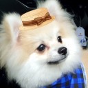 ลูกชายแห่งสายน้ำ