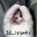 สมาชิกหมายเลข 1820832