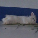 สมาชิกหมายเลข 2784527