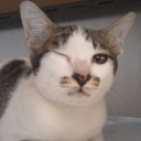 ใหญ่ ญาติระอา