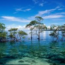 สมาชิกหมายเลข 755177