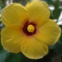 สมาชิกหมายเลข 716474