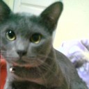 ขนมจีบไส้หมู