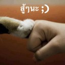 สมาชิกหมายเลข 1970869