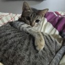 ลบหน้าแล้วมาหาฉัน