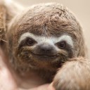 สมาชิกหมายเลข 822859