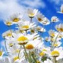 สมาชิกหมายเลข 708228