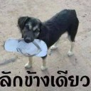 สมาชิกหมายเลข 3091942