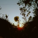 สมาชิกหมายเลข 1505819