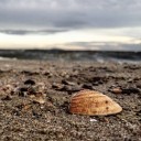 สมาชิกหมายเลข 2297182