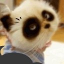 สมาชิกหมายเลข 746366