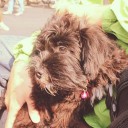 สมาชิกหมายเลข 1565329