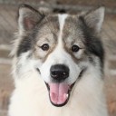 สมาชิกหมายเลข 1935218