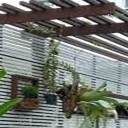 วิศวกรรมกรตัวน้อยน้อย