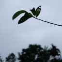 สมาชิกหมายเลข 2272055