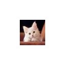 สมาชิกหมายเลข 3210401