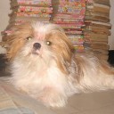 Gus J.