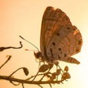 สมาชิกหมายเลข 722776