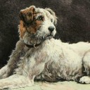 สมาชิกหมายเลข 743255