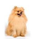 สมาชิกหมายเลข 1414728