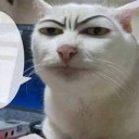 สมาชิกหมายเลข 2335059