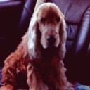 สมาชิกหมายเลข 2389139