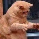 สมาชิกหมายเลข 2786808