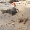 สมาชิกหมายเลข 2164838