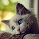 สมาชิกหมายเลข 757079