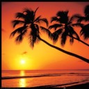 เกลียวคลื่นและผืนทราย