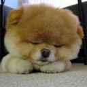 สมาชิกหมายเลข 1157059