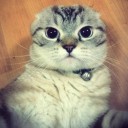 สมาชิกหมายเลข 985020