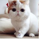 น้ำตาล หว๊าน หวาน