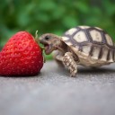 ปัจจุบัน คือ อดีต ของ อนาคต