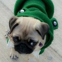 ลึกลับในม่านเมฆ