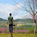 สมาชิกหมายเลข 1459826