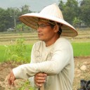 เกษตรทำมือ