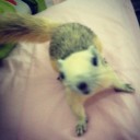 สมาชิกหมายเลข 757163