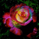 สมาชิกหมายเลข 757278