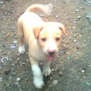 สมาชิกหมายเลข 757607