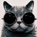 สมาชิกหมายเลข 1925037