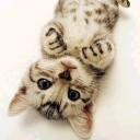 สมาชิกหมายเลข 2389791