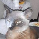 สมาชิกหมายเลข 769939