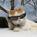 ลุงแว่นดำ