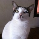 ตาหวานน่ารักจัง