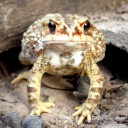 สมาชิกหมายเลข 757817