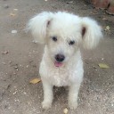 แม่เรียกหนูทำไม